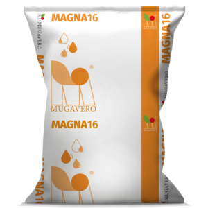 MUGASOL MAGNA 16