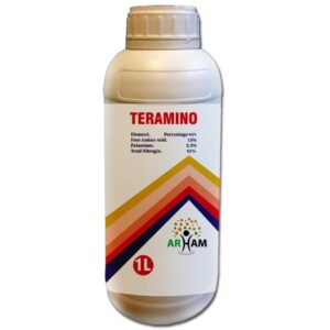 TERAMINO