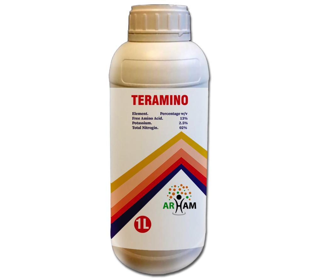 TERAMINO